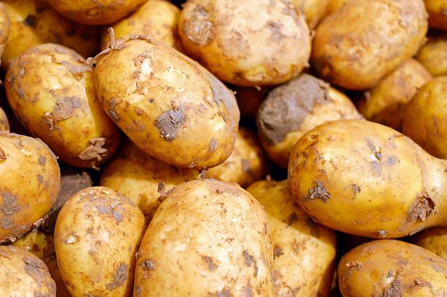 Le meilleur gratin de pommes de terre suédois de tous les temps !