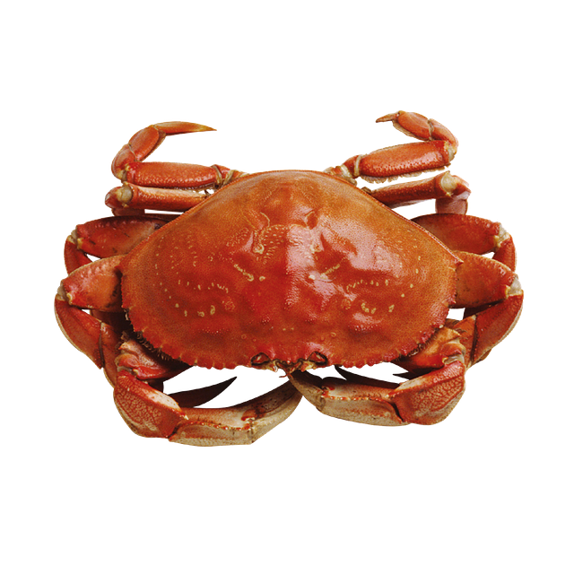 Le pot de fruits de mer avec crème fouettée : fruits de mer délicieux, nutritifs et sains dans un pot !